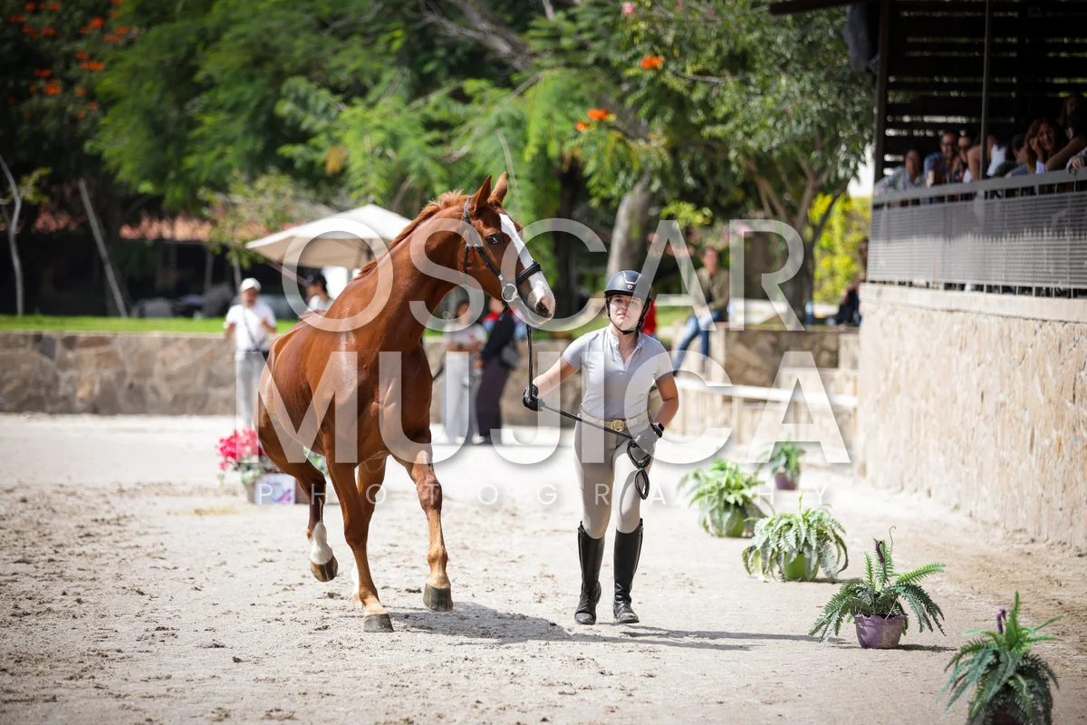 Foto de VET CHECK FEI