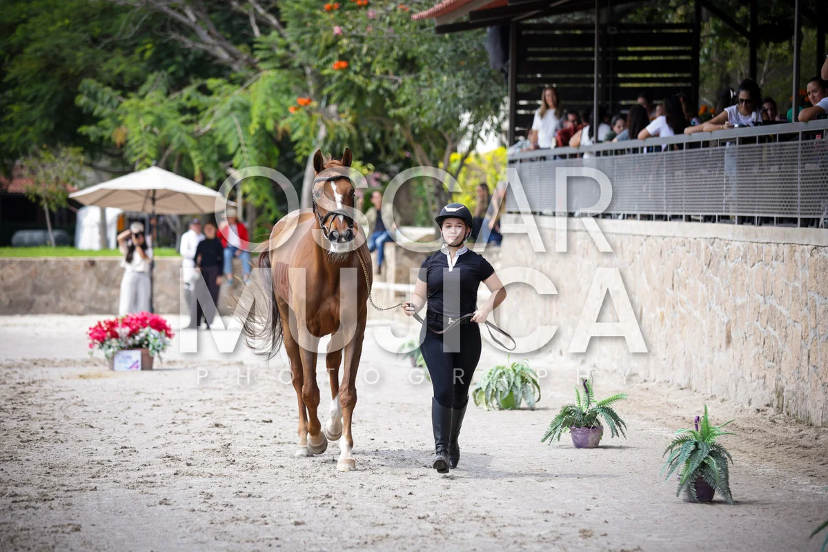 Foto de VET CHECK FEI