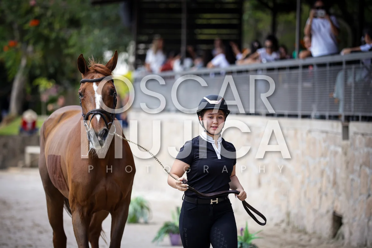Foto de VET CHECK FEI