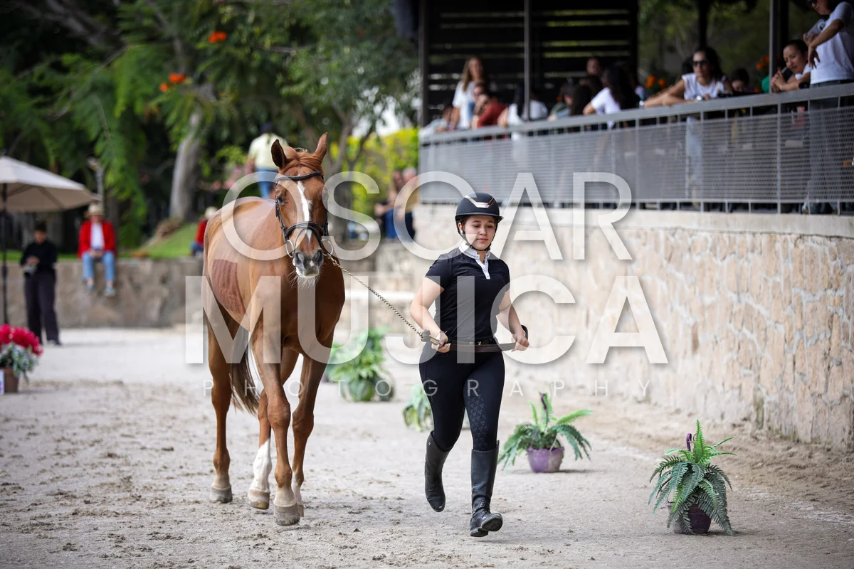 Foto de VET CHECK FEI