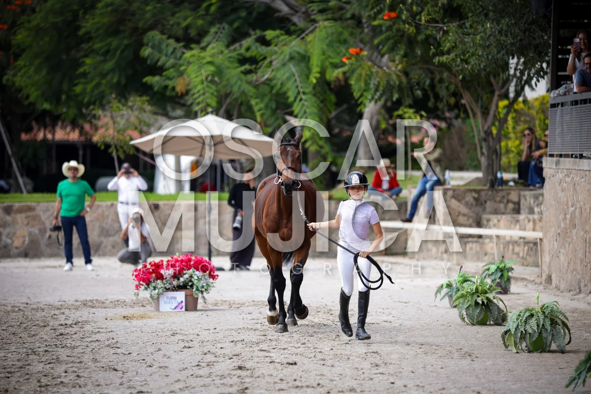 Foto de VET CHECK FEI