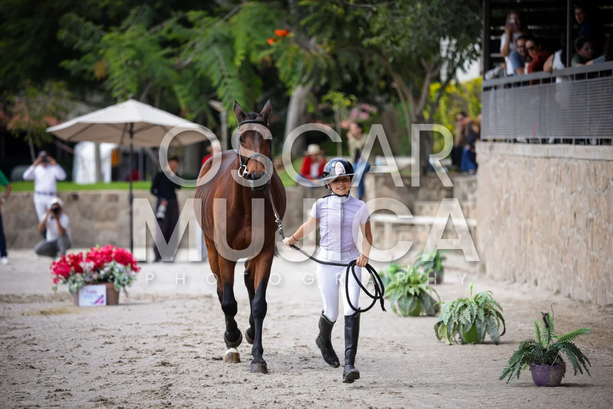 Foto de VET CHECK FEI