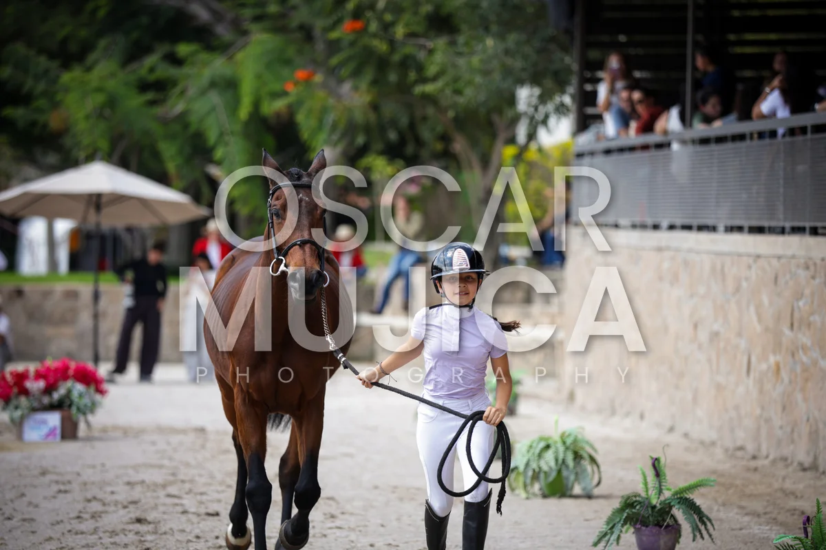 Foto de VET CHECK FEI