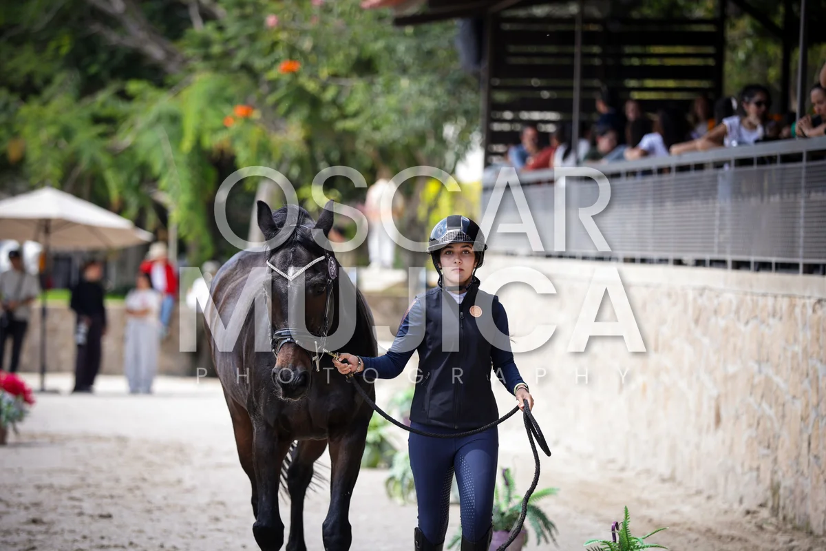 Foto de VET CHECK FEI