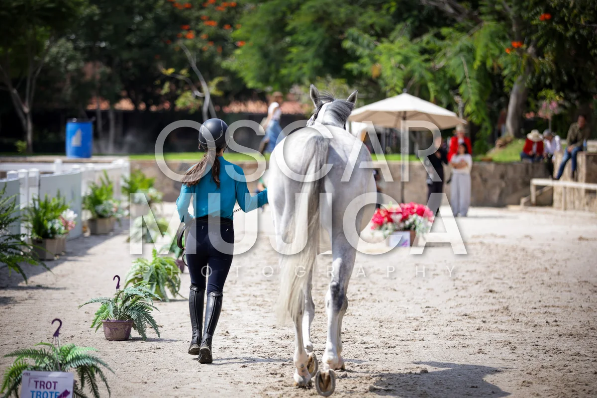 Foto de VET CHECK FEI