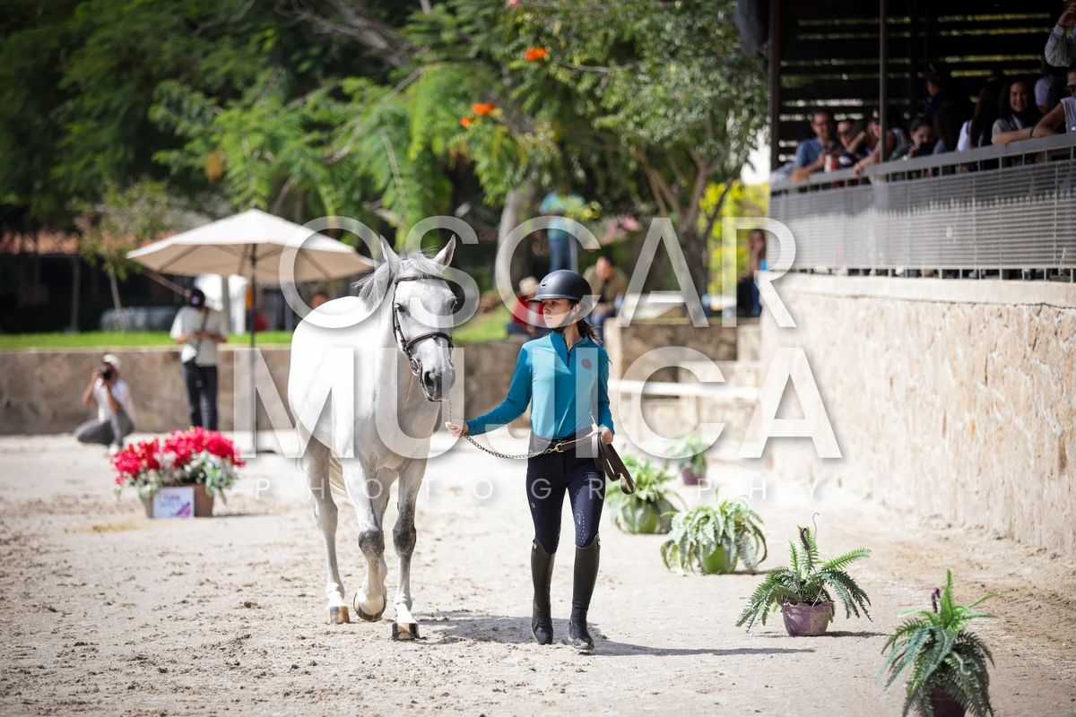 Foto de VET CHECK FEI