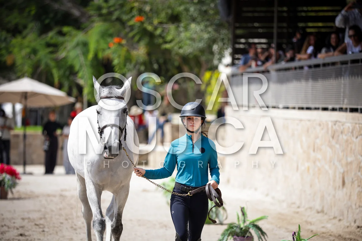 Foto de VET CHECK FEI