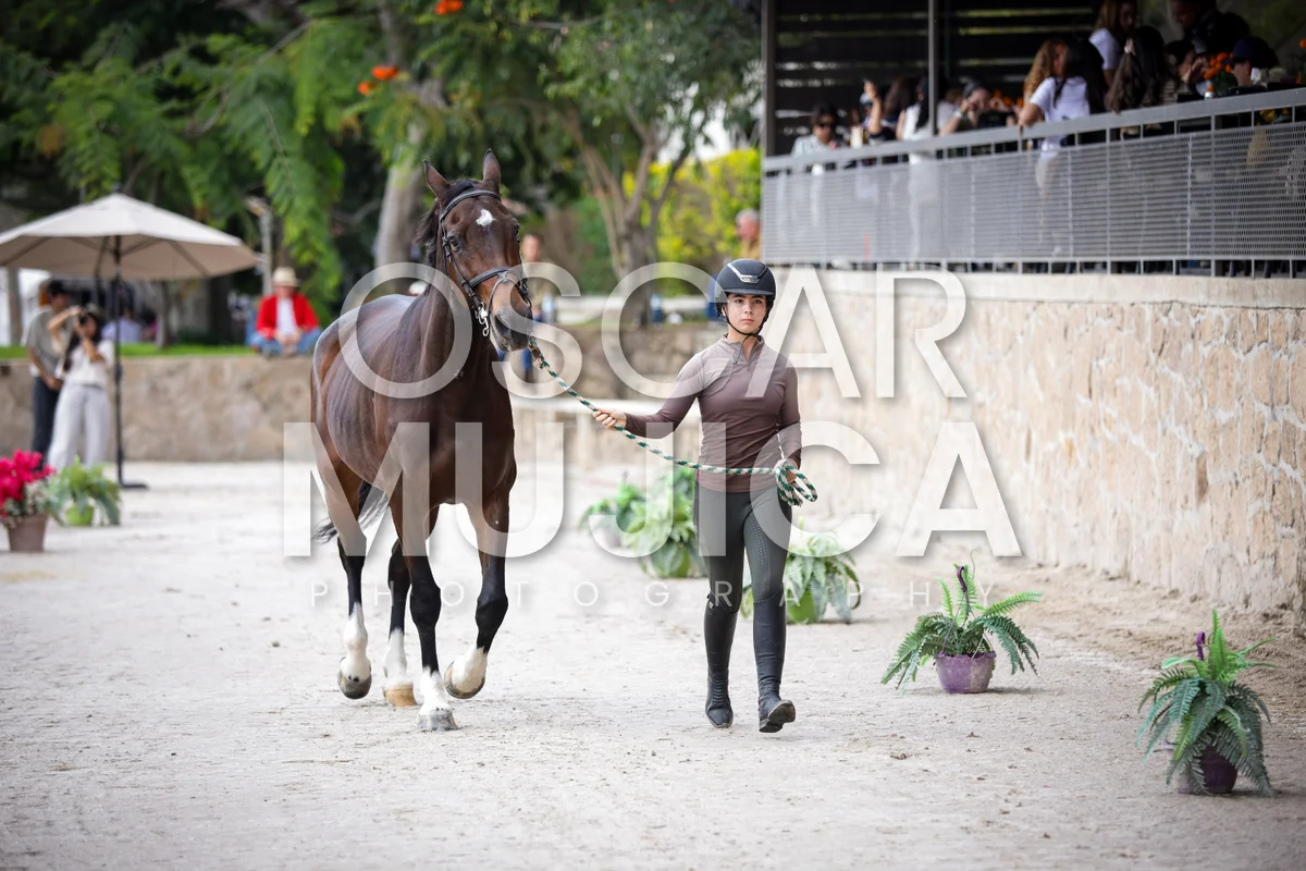 Foto de VET CHECK FEI