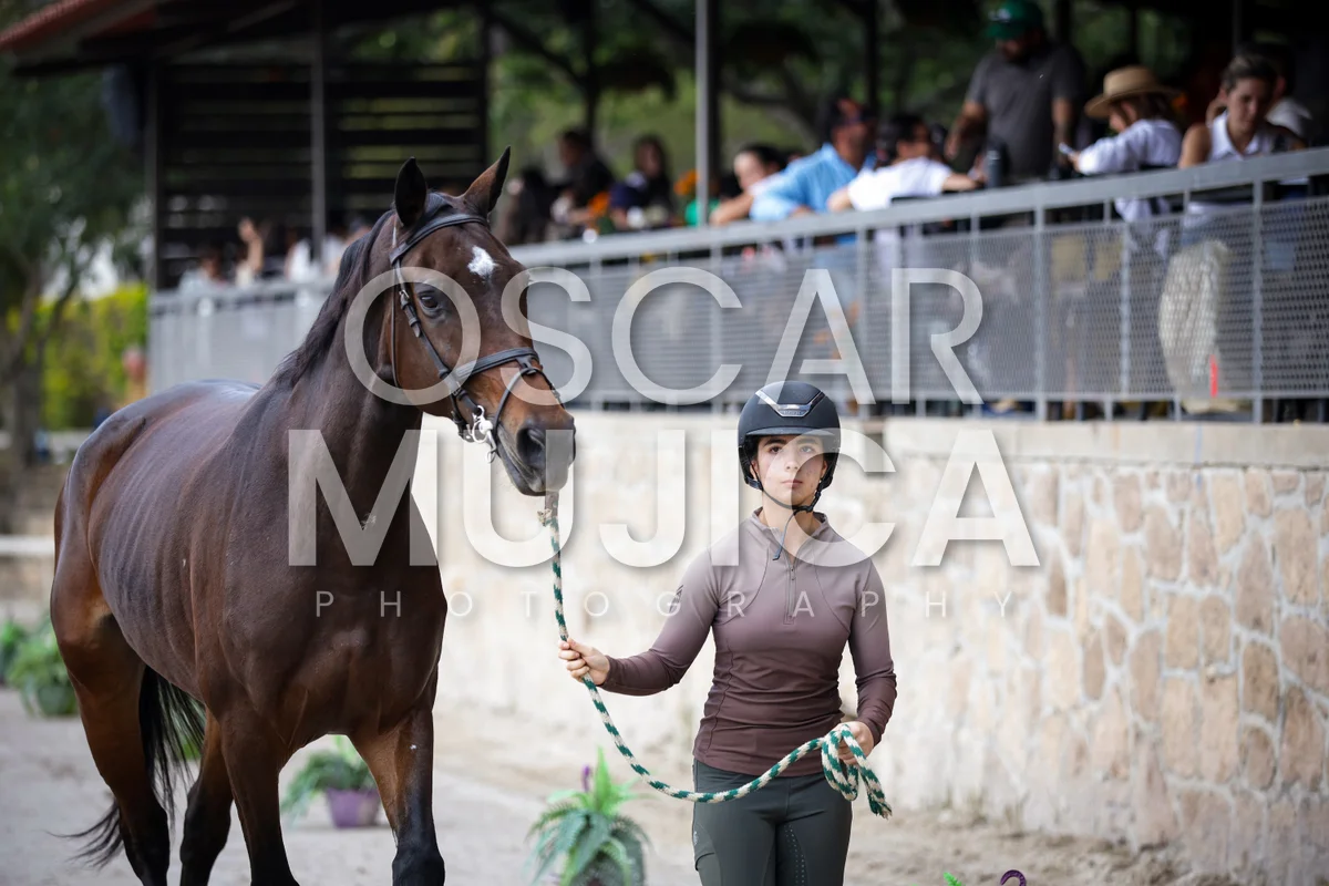 Foto de VET CHECK FEI