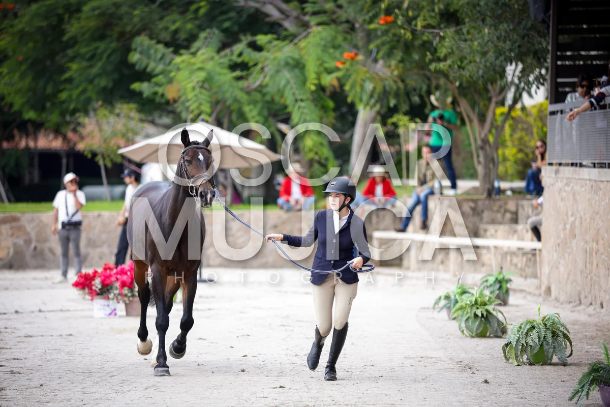 Foto de VET CHECK FEI