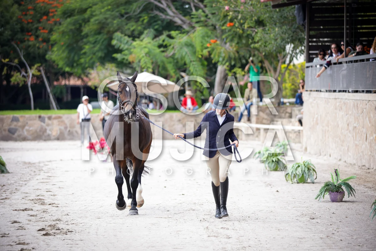 Foto de VET CHECK FEI