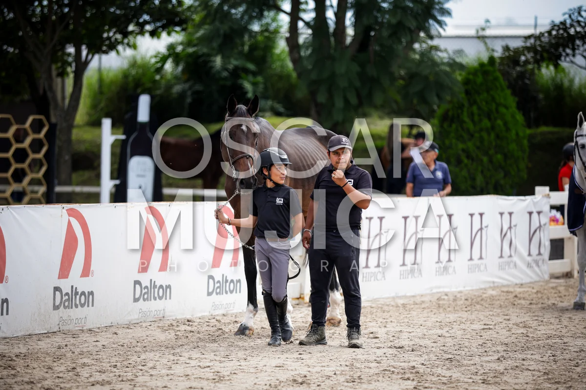 Foto de VET CHECK FEI
