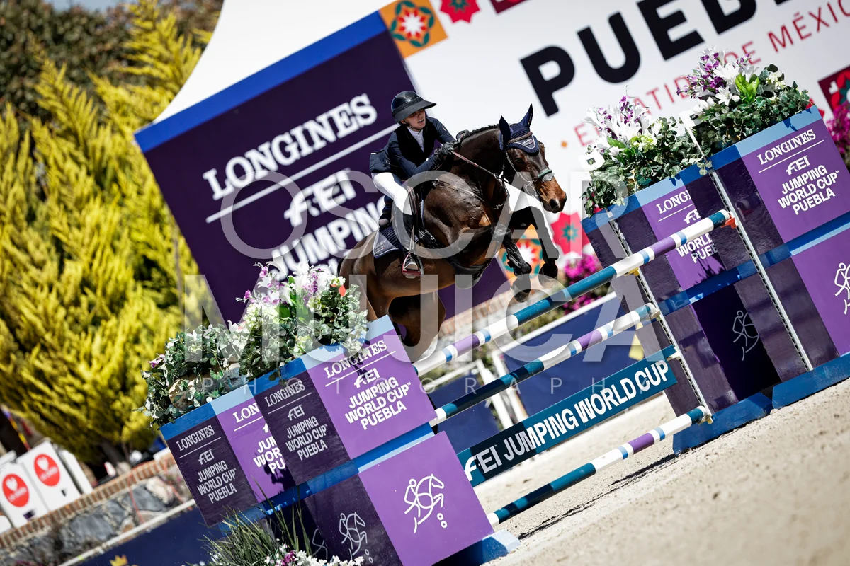 QUINTAS ECUESTRES CSI4* 2026 S2