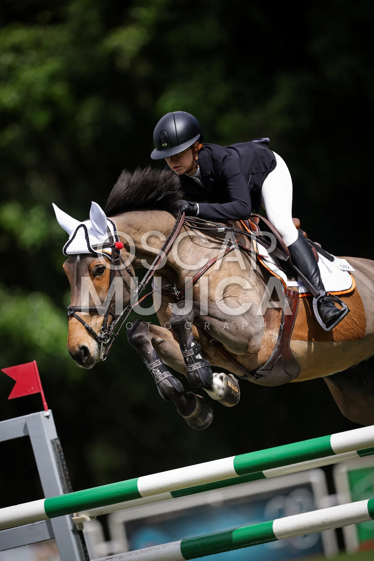 Foto de ANA BARRA