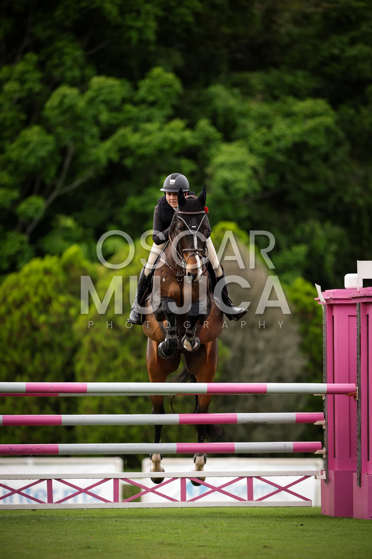 Foto de ANA CAMILA PASCACIO