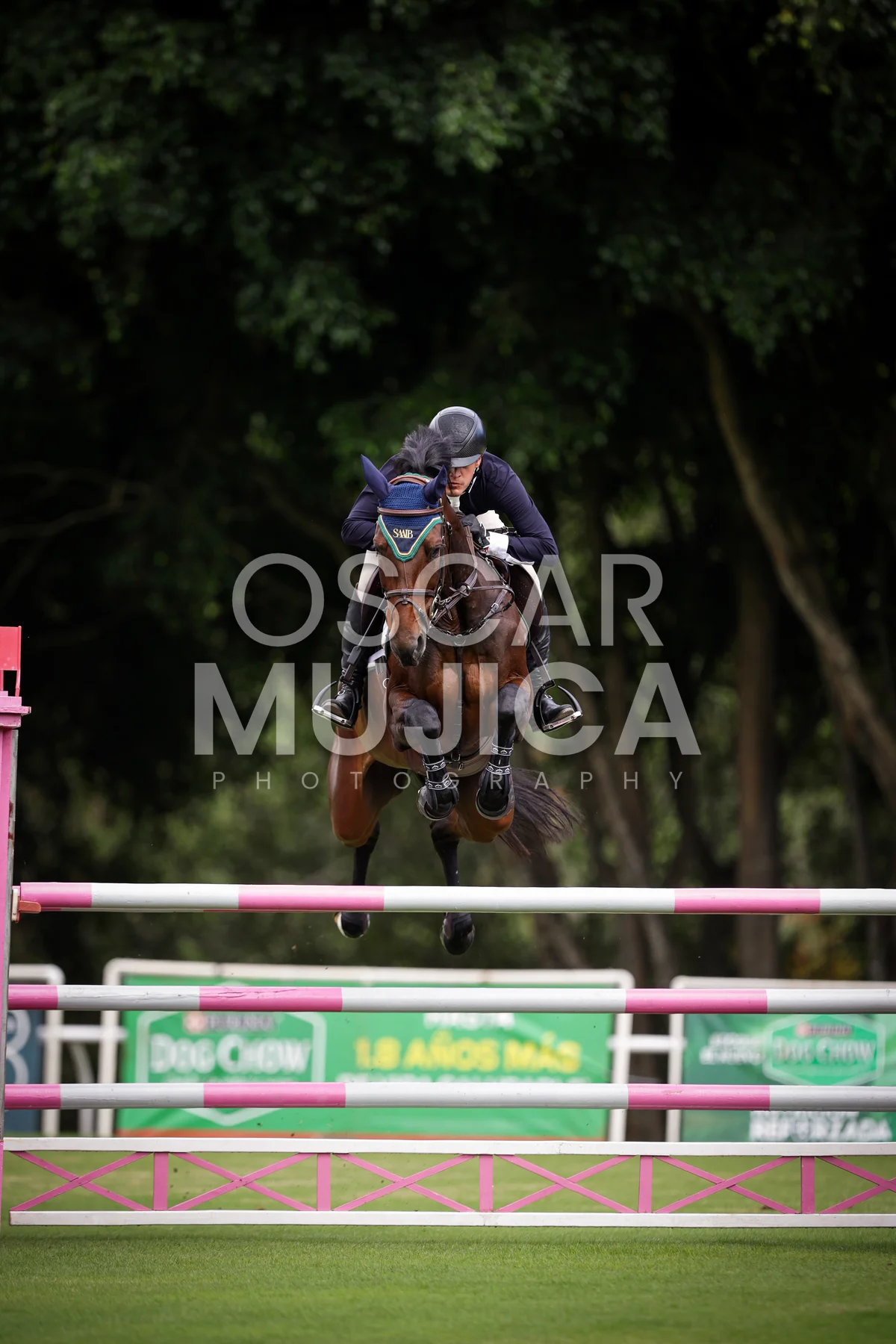 Foto de CARLOS MOLINA