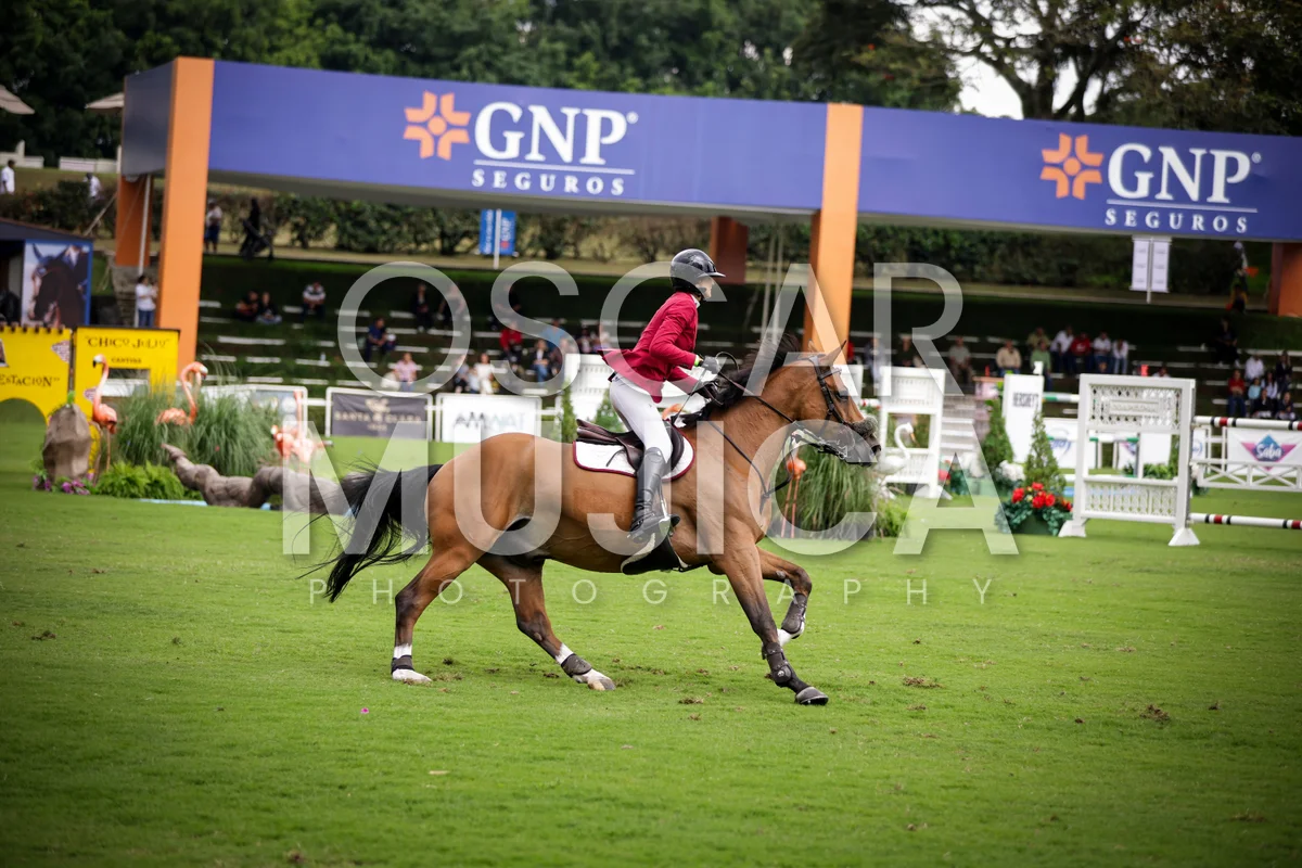 Foto de CECILIE HATTELAND