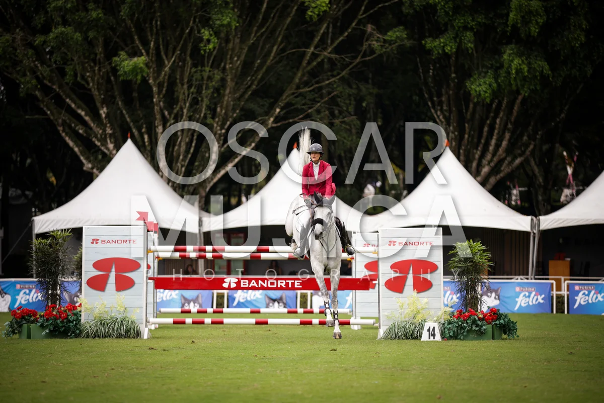 Foto de CECILIE HATTELAND