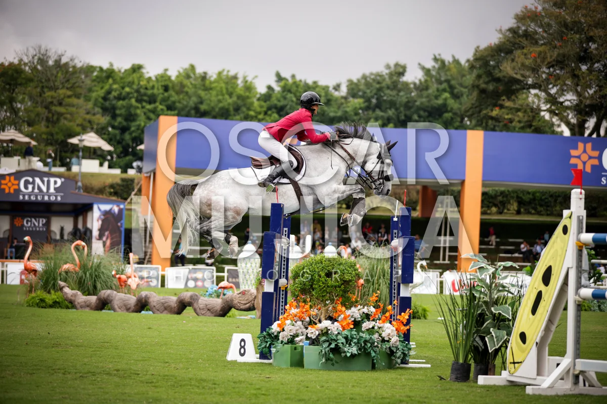 Foto de CECILIE HATTELAND