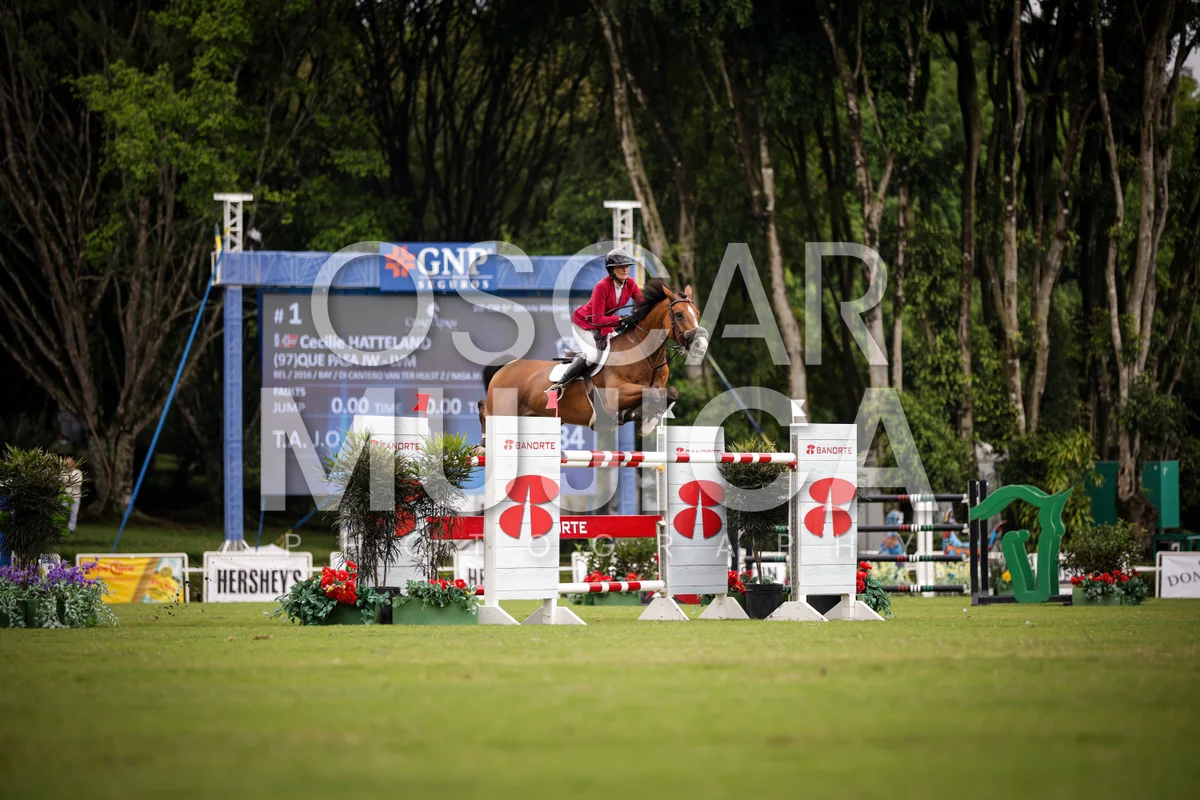 Foto de CECILIE HATTELAND