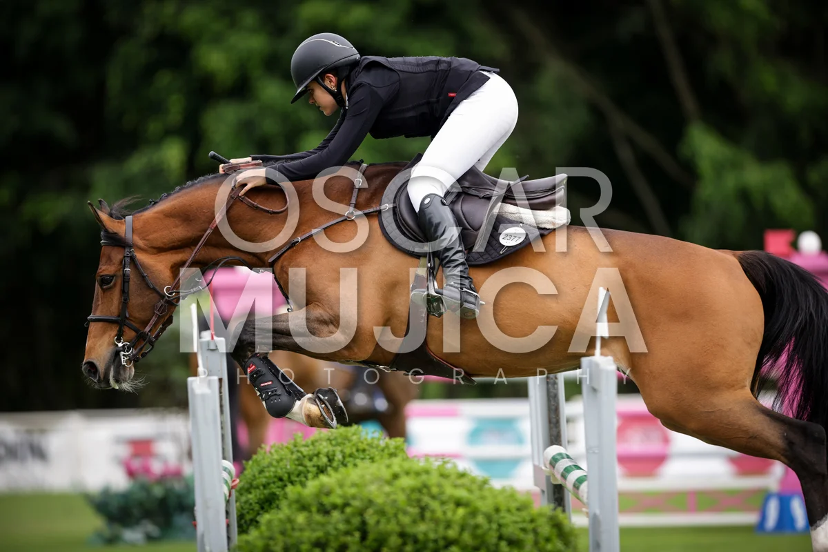 Foto de EMILIA PONCE