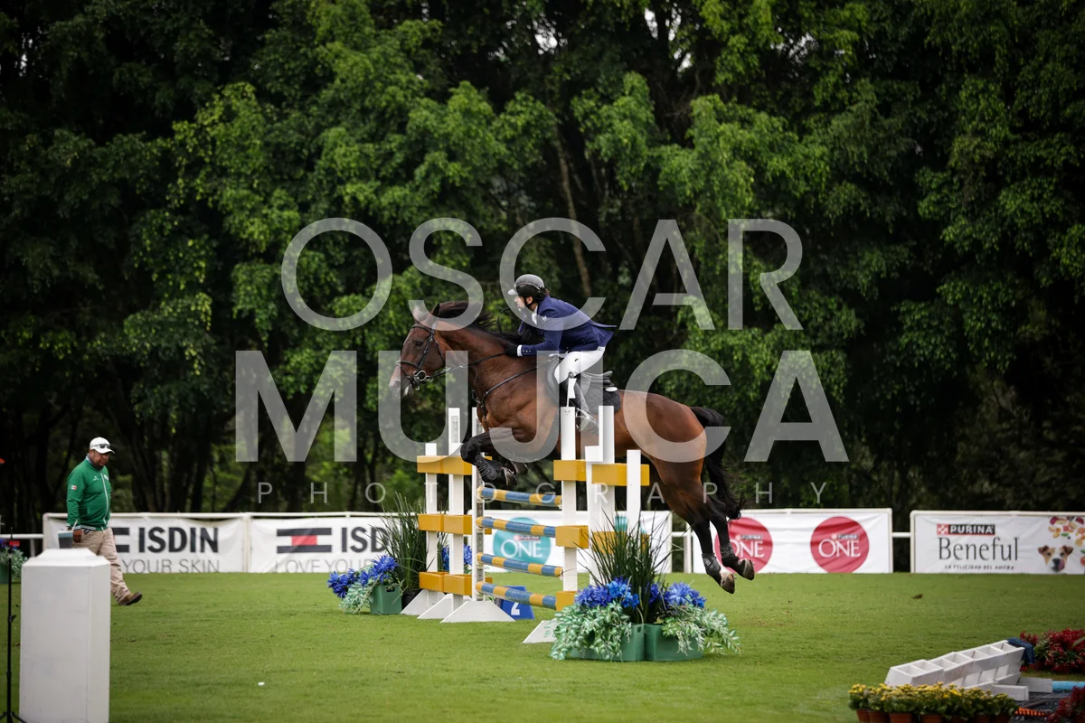 Foto de JORGE ARCE