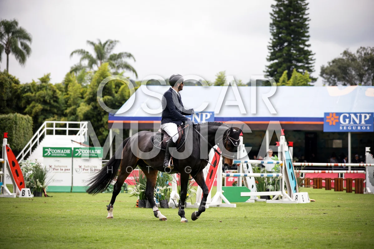 Foto de JULIO PONCE