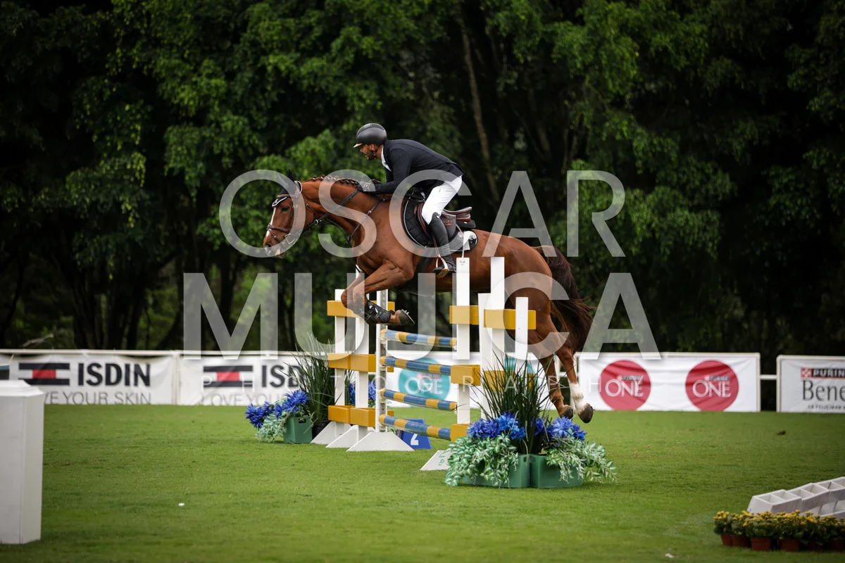 Foto de JULIO PONCE