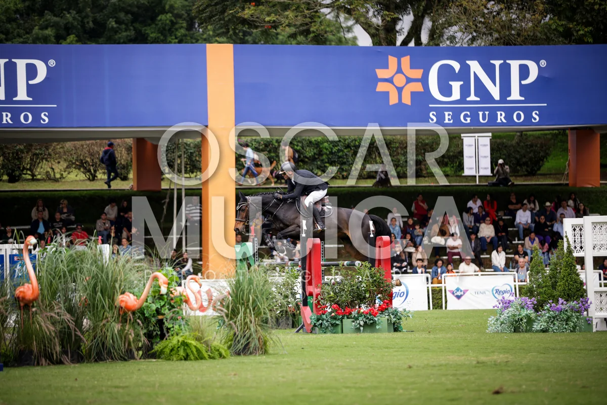 Foto de JULIO PONCE