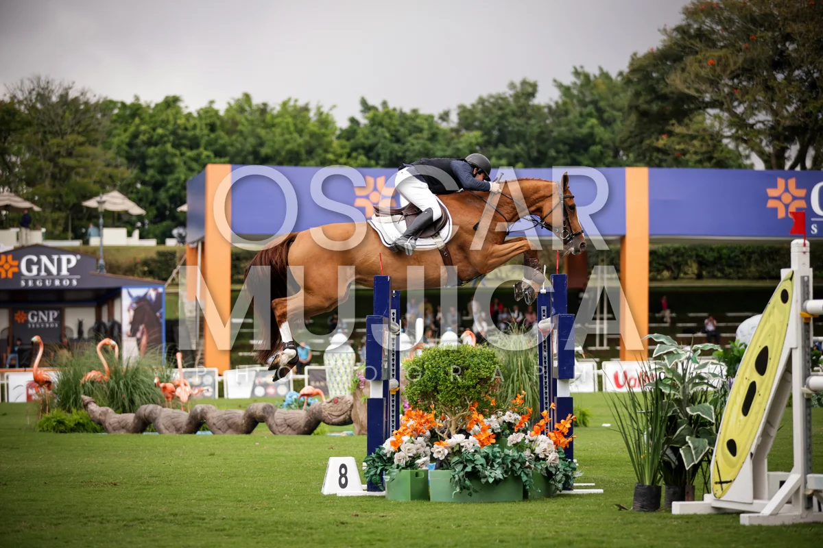 Foto de LUIS MANUEL SANTISTEBAN
