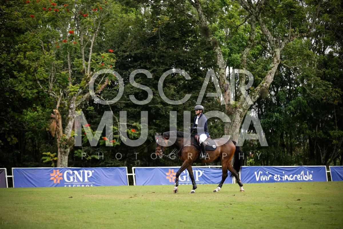 Foto de MARCO ALARCON