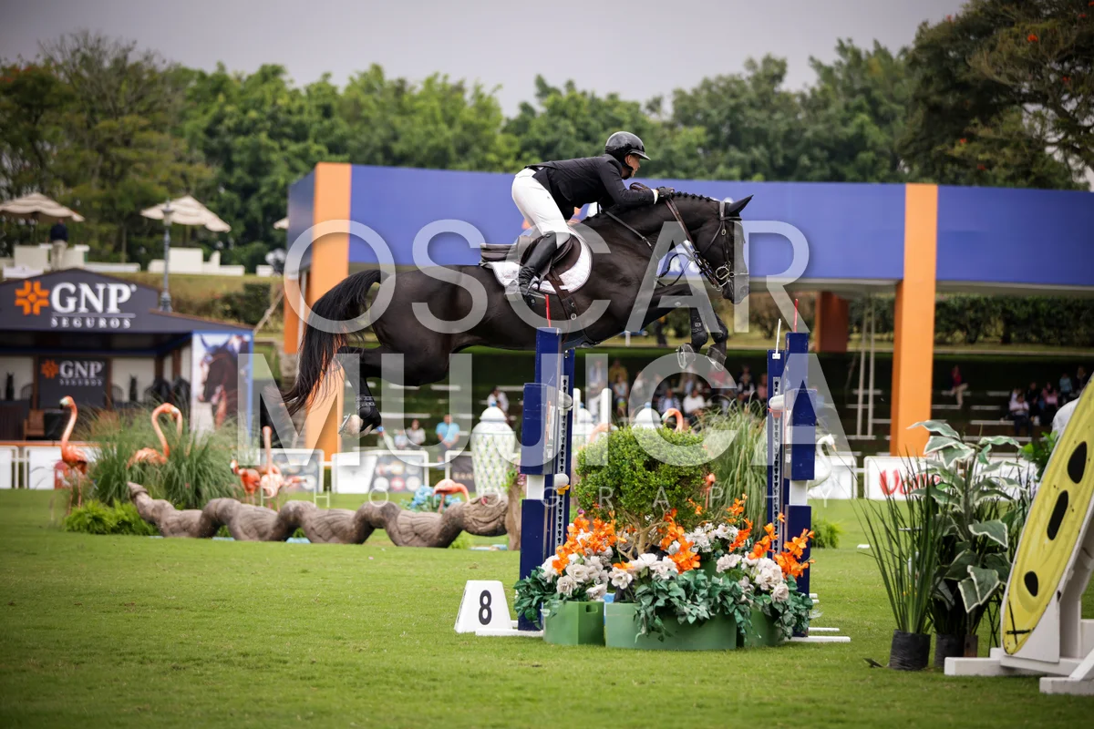Foto de SHARN WORDLEY