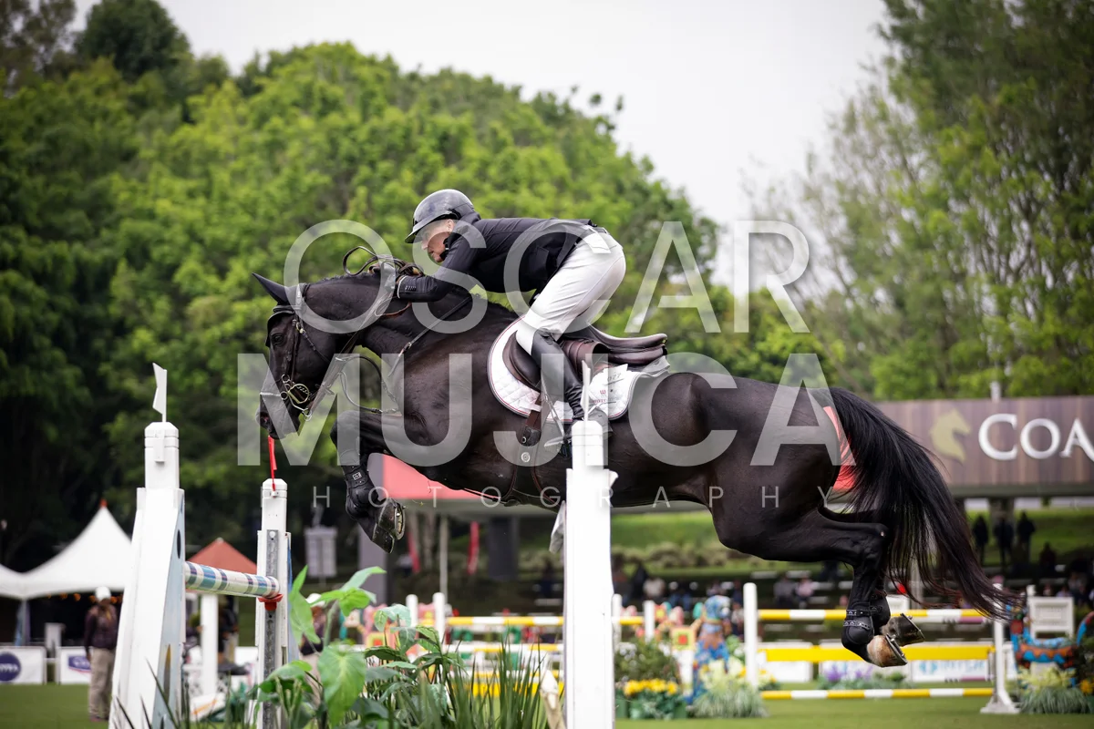 Foto de SHARN WORDLEY