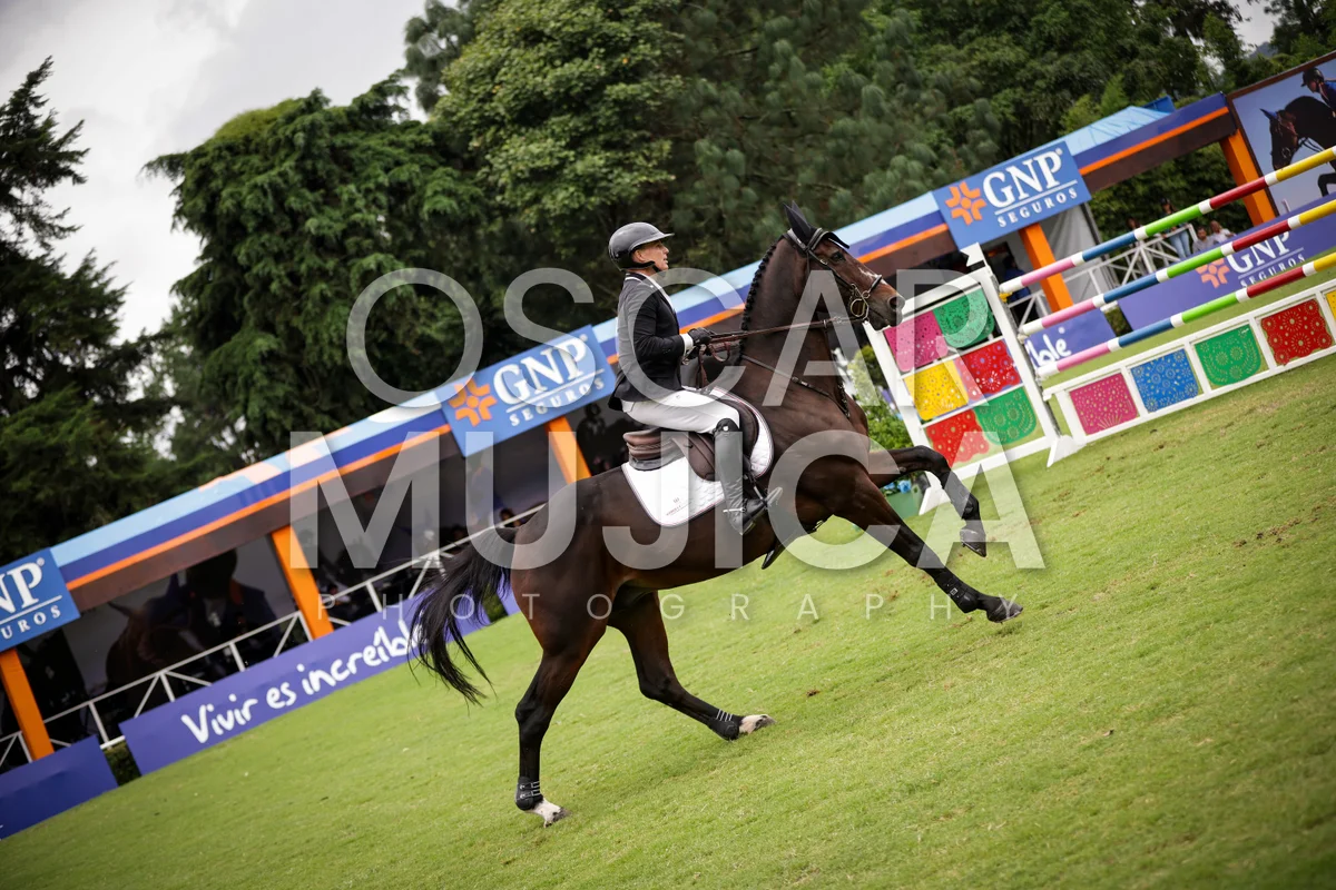 Foto de SHARN WORDLEY
