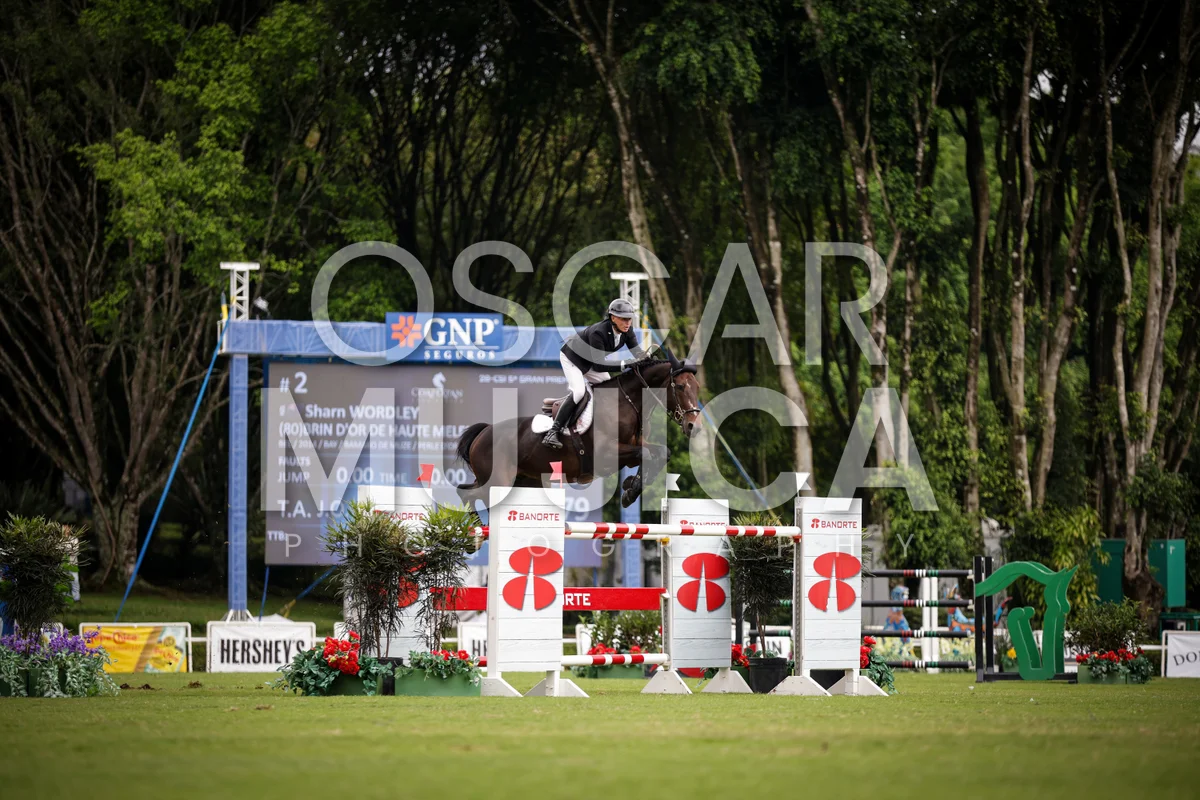 Foto de SHARN WORDLEY