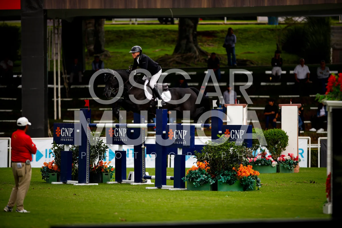 Foto de SHARN WORDLEY