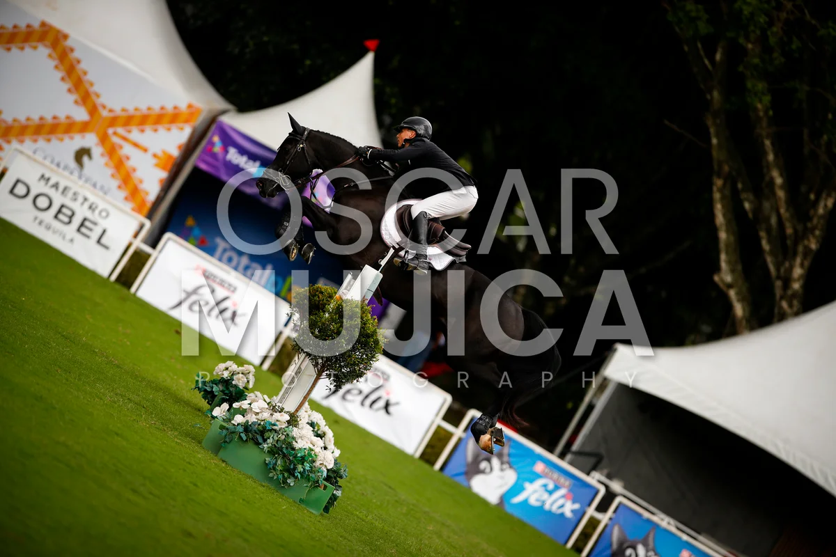 Foto de SHARN WORDLEY