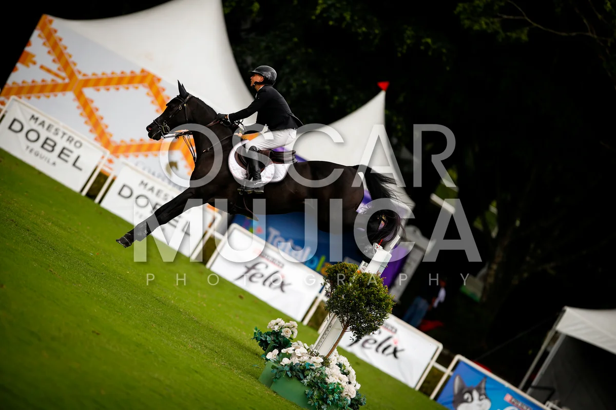 Foto de SHARN WORDLEY