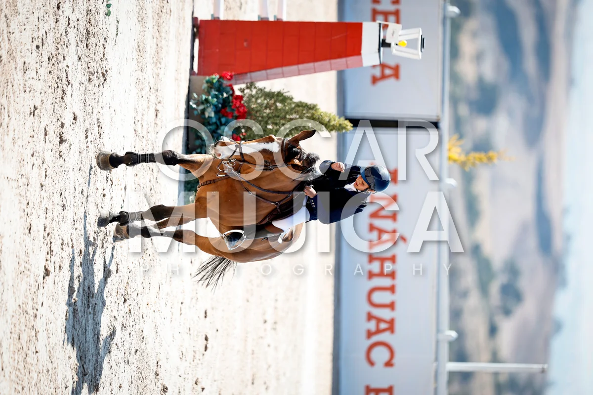 QUINTAS ECUESTRES CSI2* 2026 S1