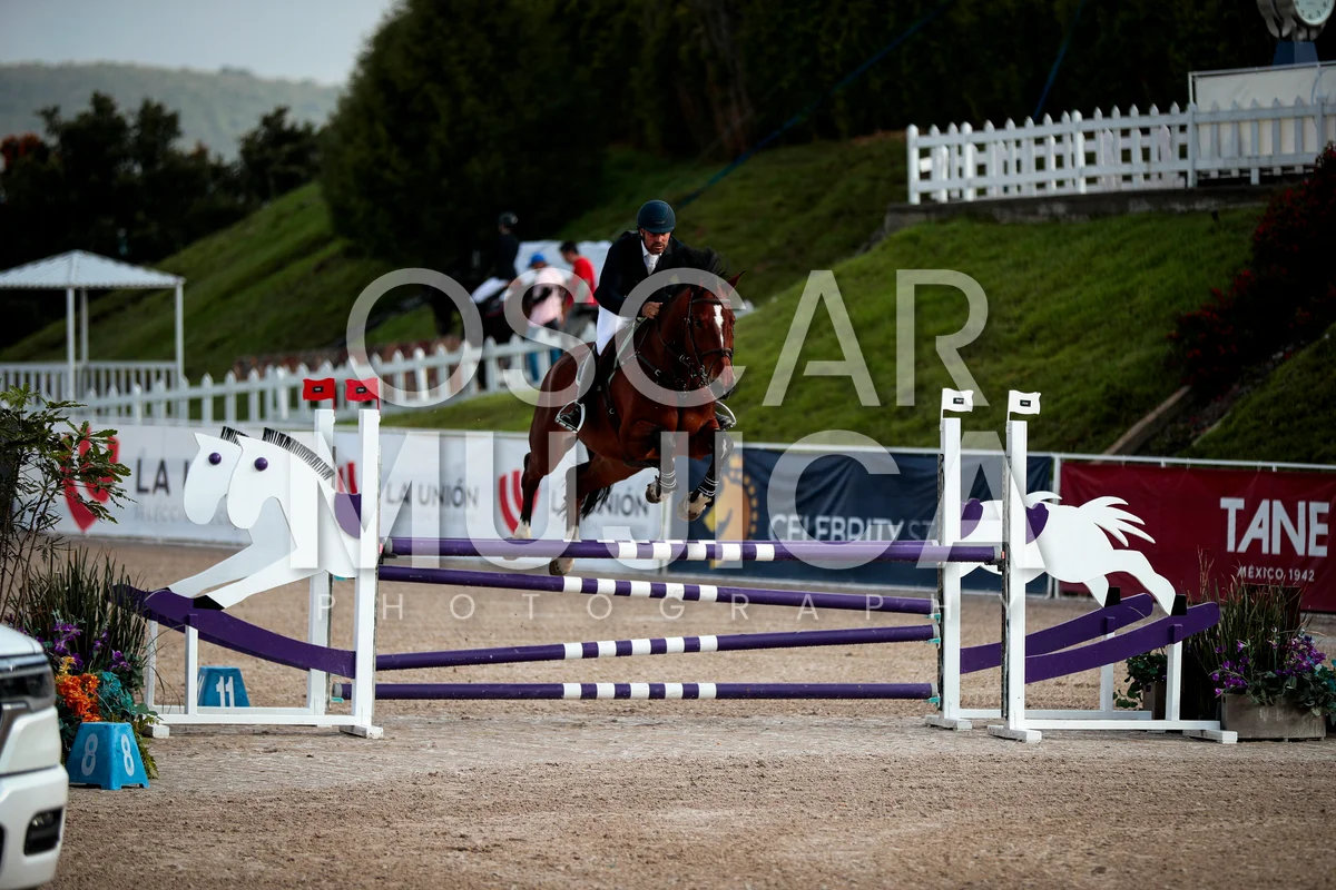 Foto de ALBERTO SANCHEZ COZAR