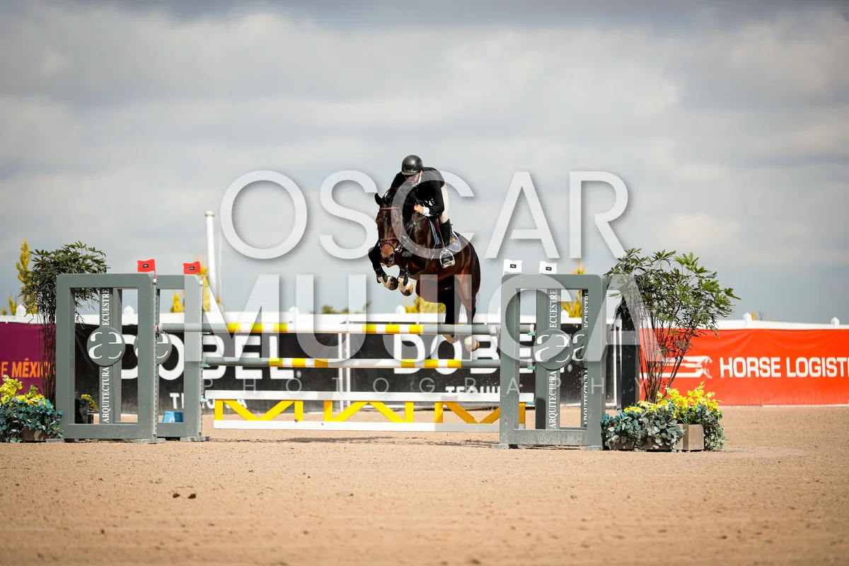 ANDRES GONZALEZ