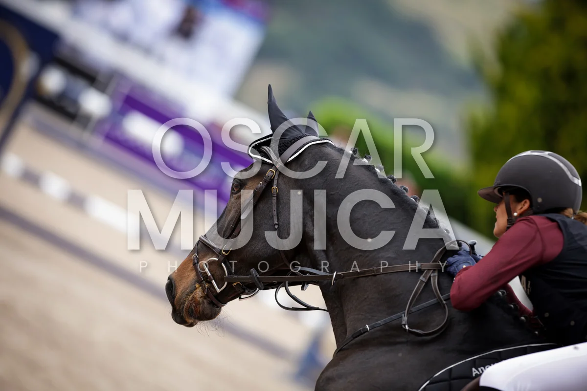 Foto de ANOUCHKA GERBER