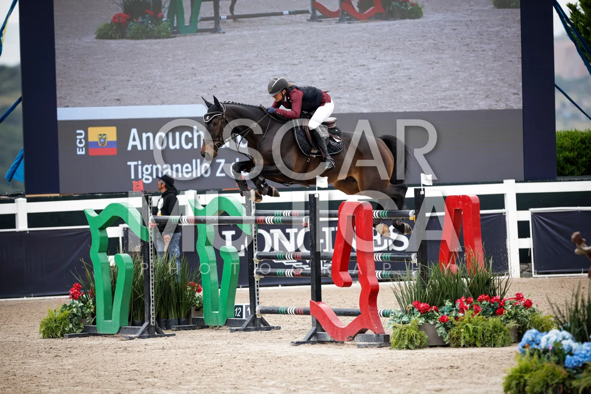 Foto de ANOUCHKA GERBER