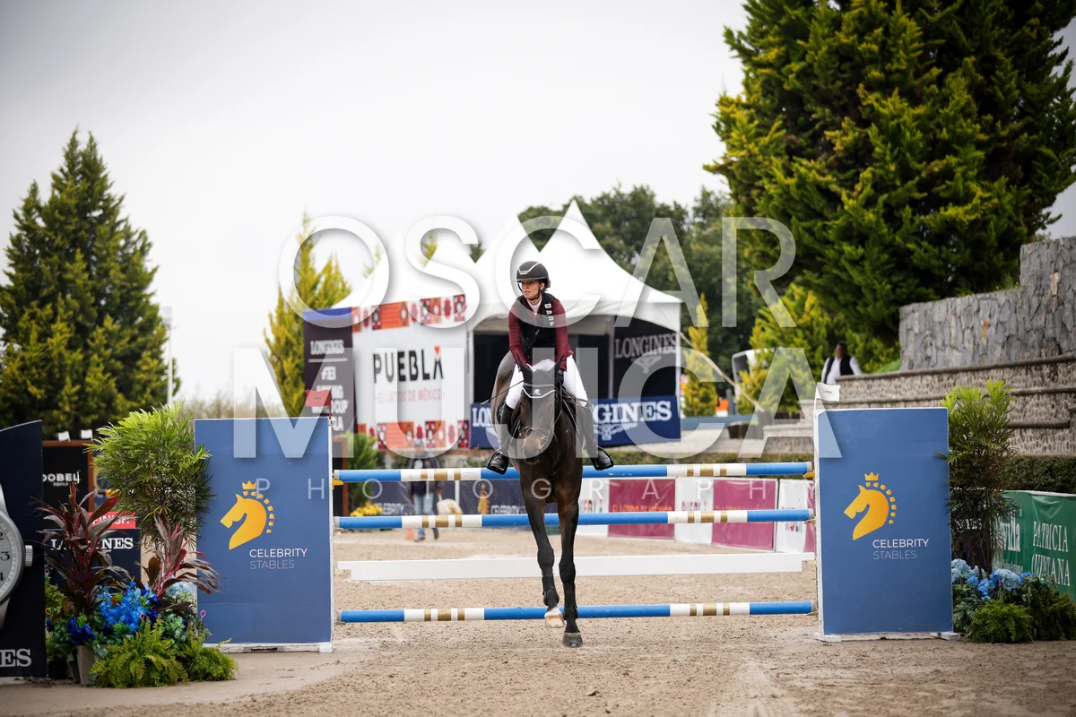 Foto de ANOUCHKA GERBER