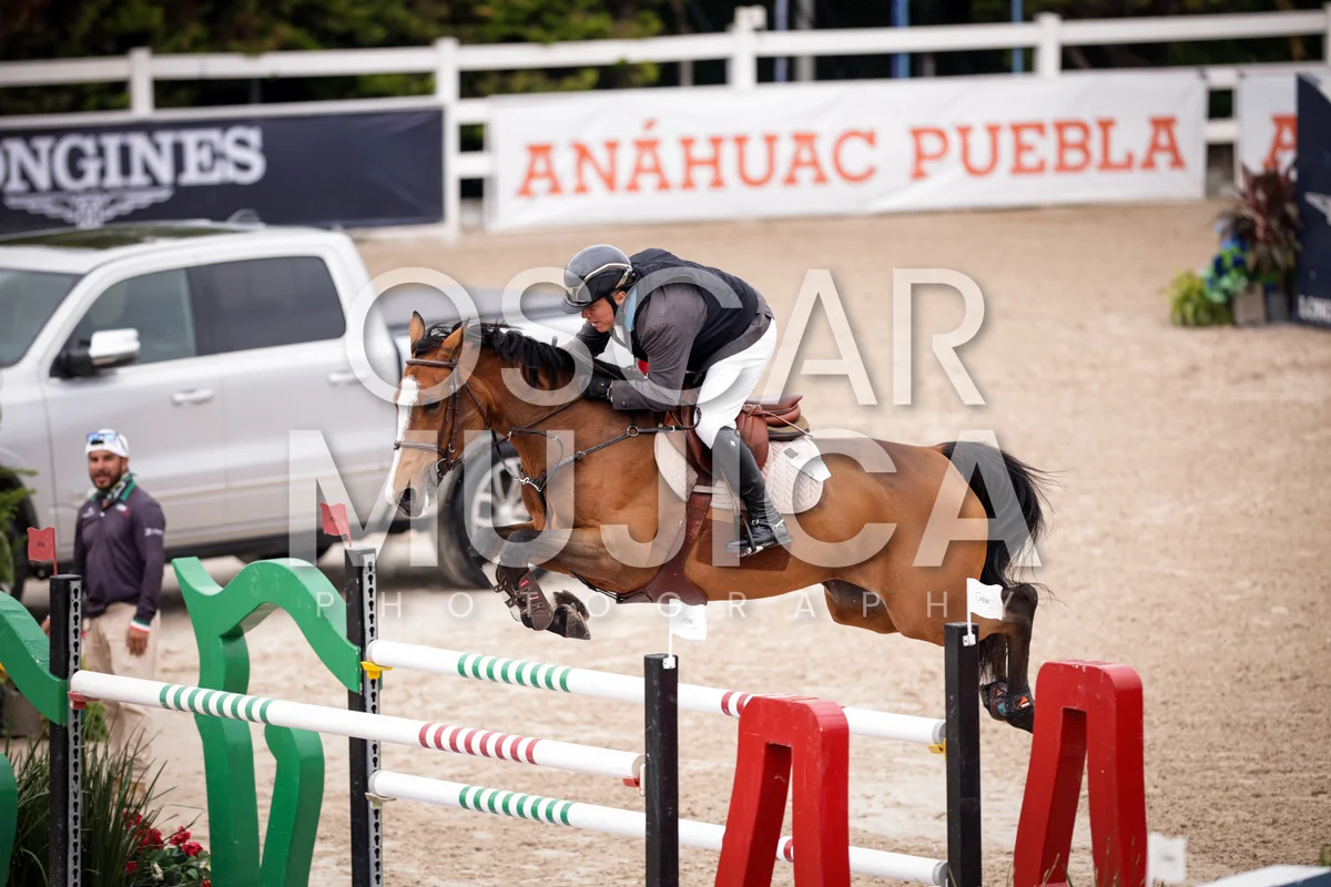 Foto de ANUAR ALVA