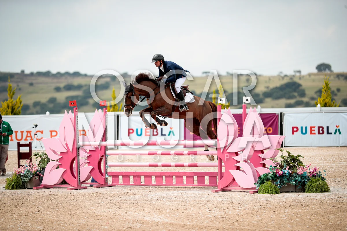 Foto de BRUNO CAVALHEIRO