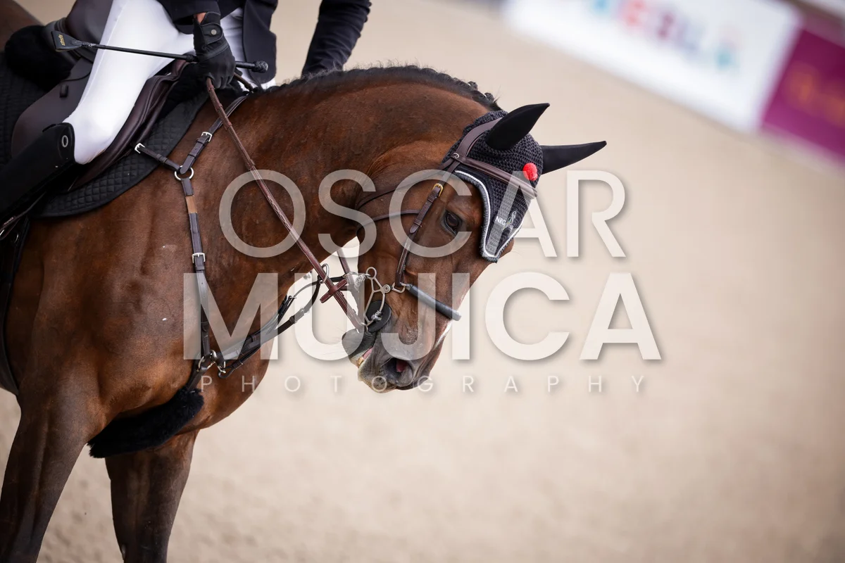 Foto de DIEGO BEDOYA