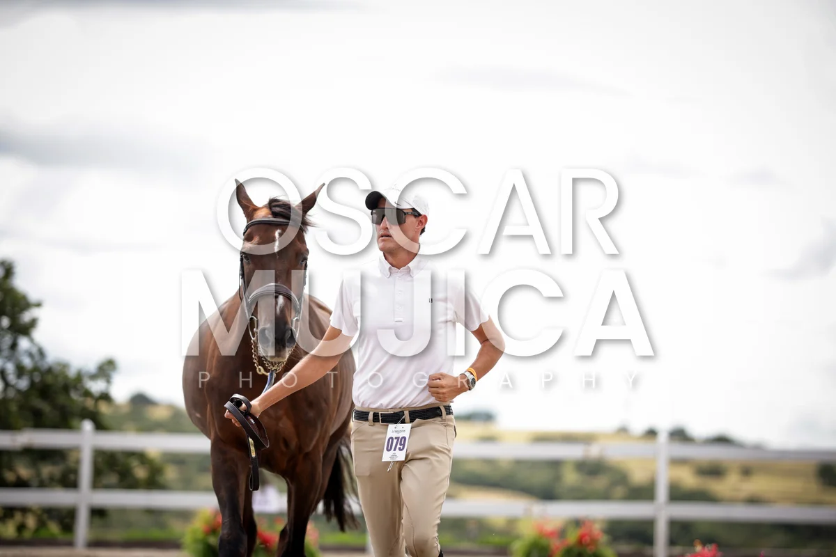 Foto de DIEGO BEDOYA