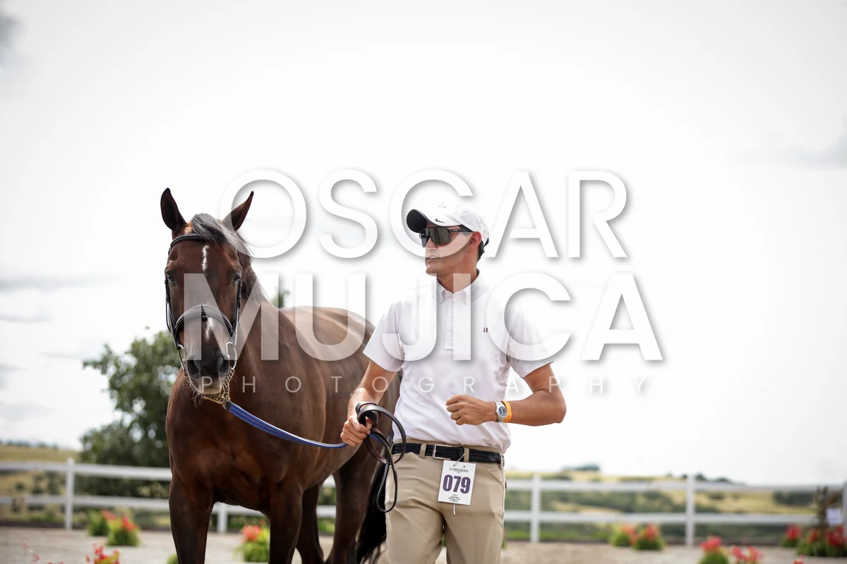 Foto de DIEGO BEDOYA
