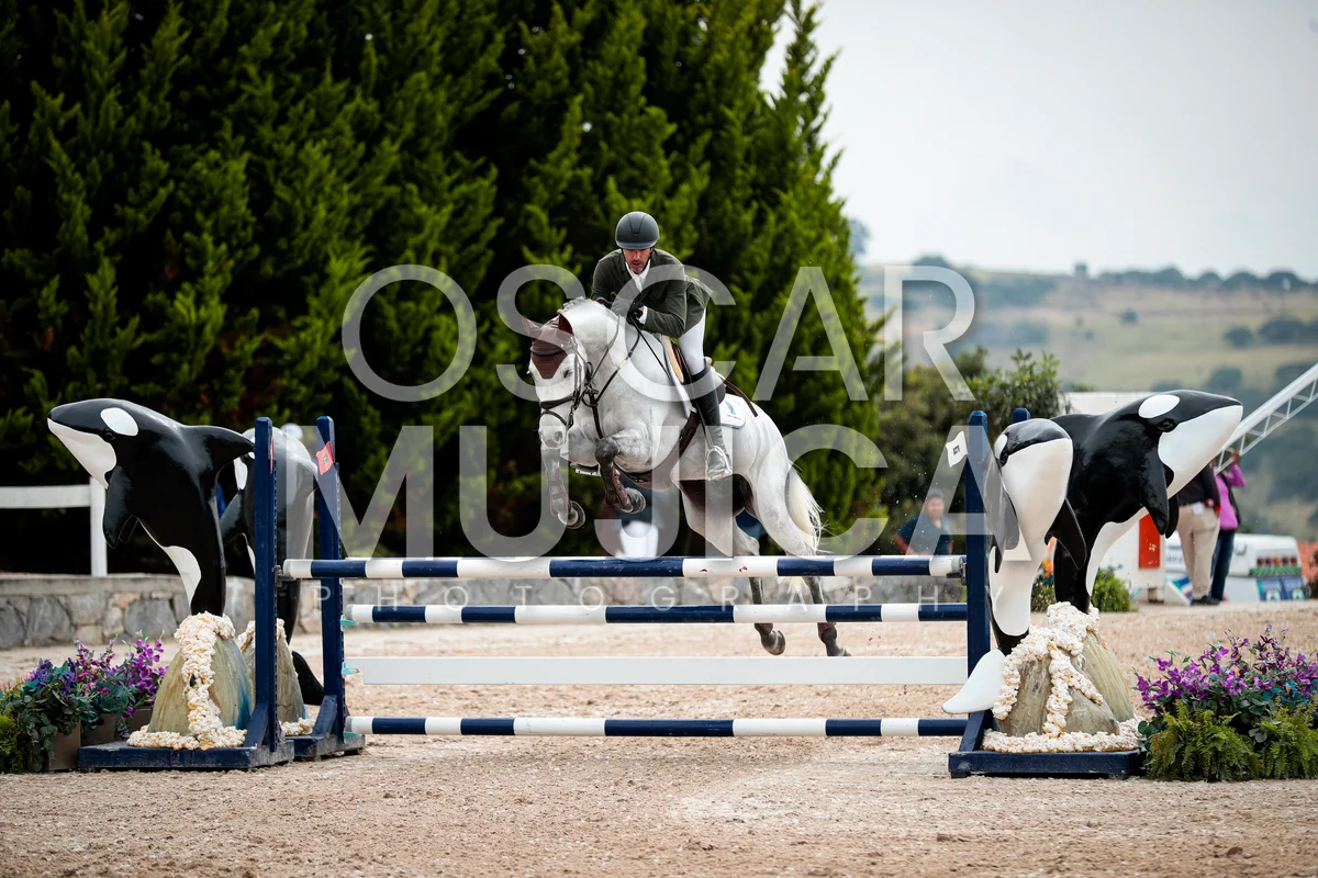 Foto de DIEGO POTES